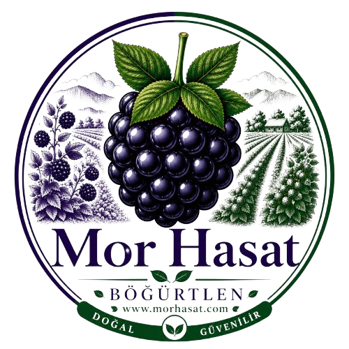 Mor Hasat Logo